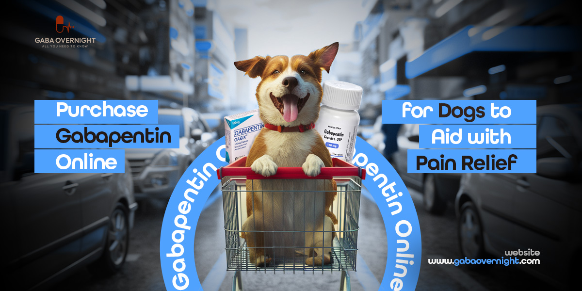 Purchase Gabapentin Online for Dogs to Aid with Pain Relief